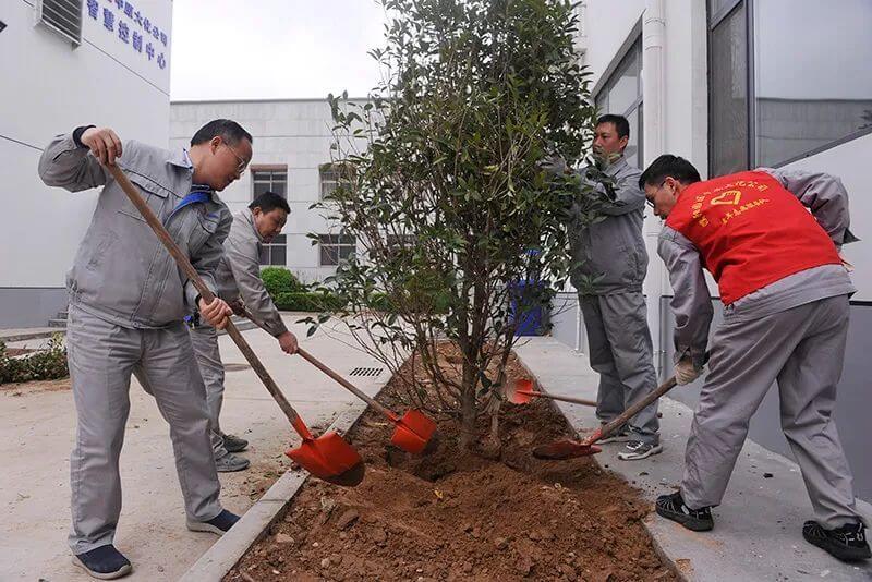 植树节  共绘“人与自然和谐共生”新画卷